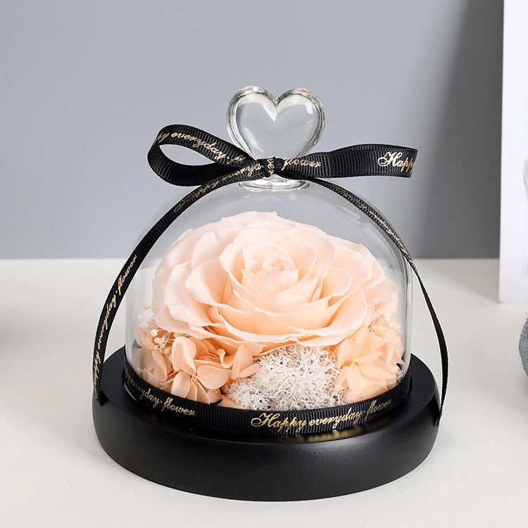 Rose in Glass