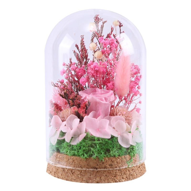 DIY Craft Kit Handmade Ornament Dried Flowers Glass Dome